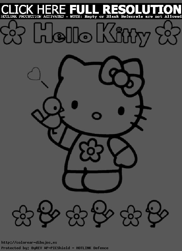Hello kitty (4)