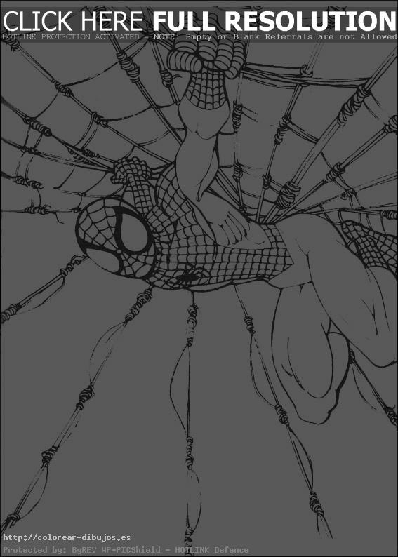 spiderman en el centro de la tela